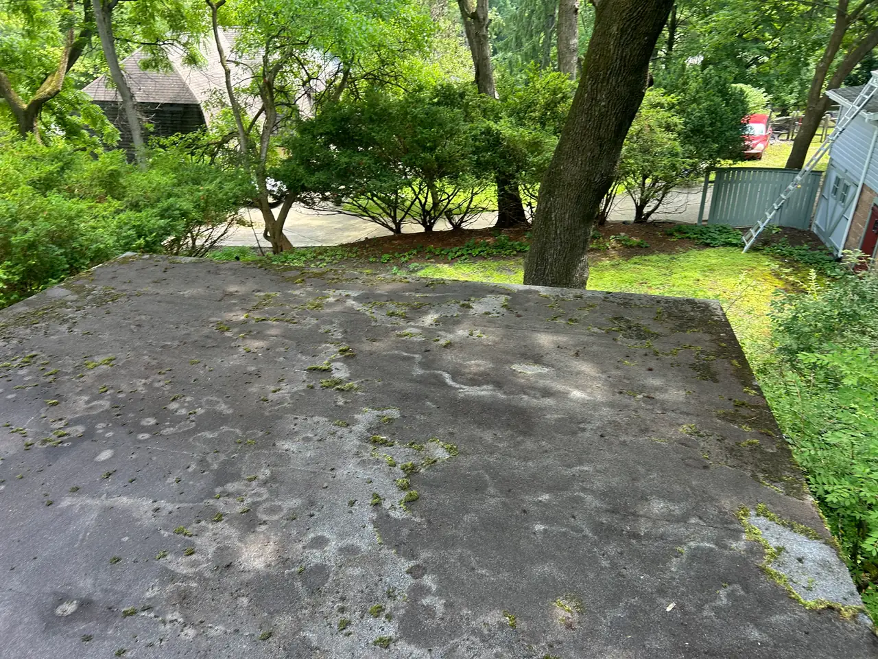 The same O'Hara Township roof after a soft-wash cleaning with the moss cleared back to bare shingles