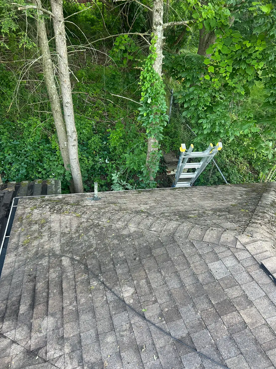Same Pittsburgh roof after a soft-wash cleaning with the moss cleared and shingles visible again